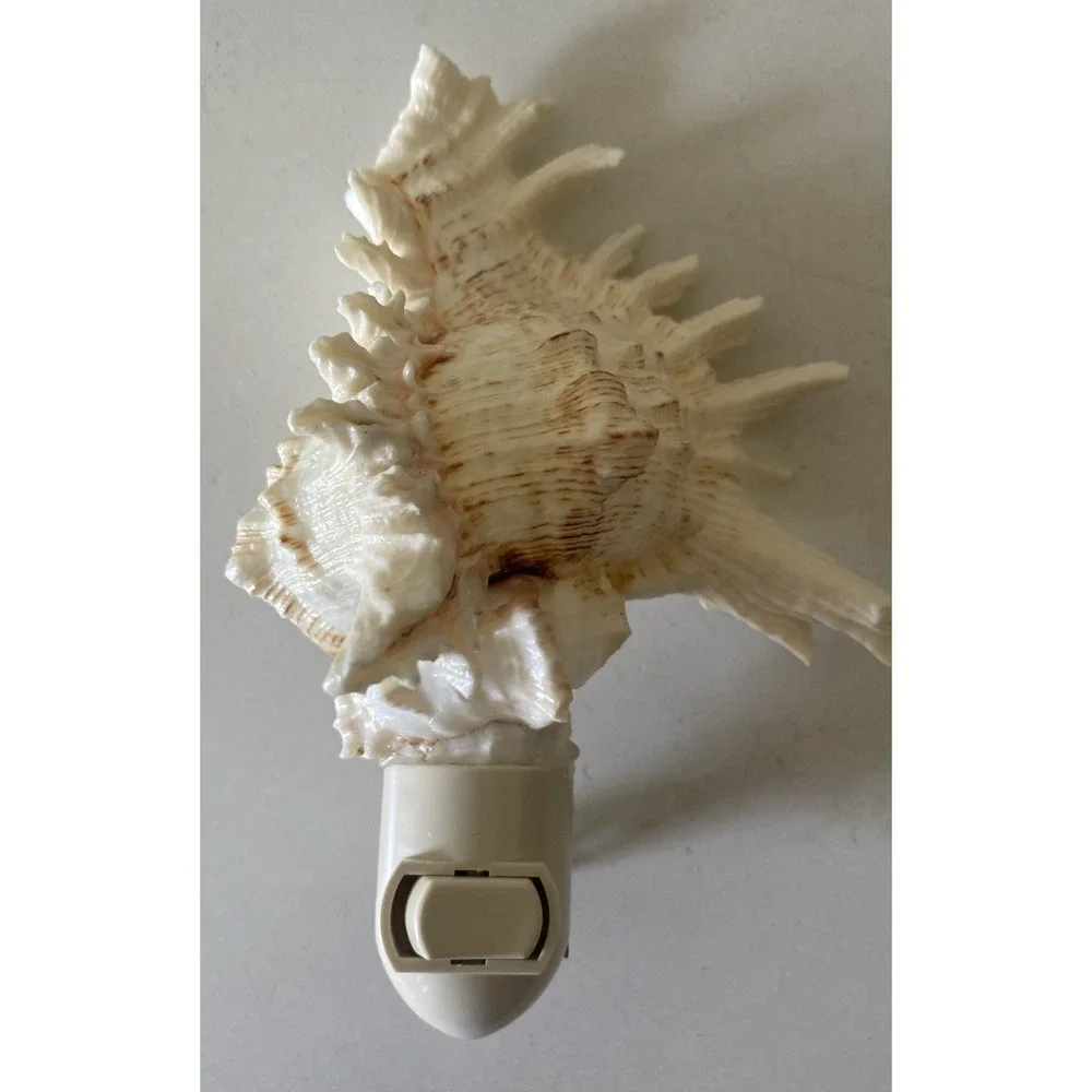 Conch Shell Night Light with Bulb 5